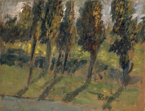 Autumn trees on stream, oil on cardboard, 27 x 34.5 cm, Ernst Schiess, Basel 1872–1919 Valencia