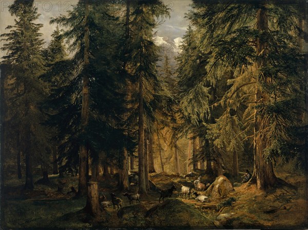 High mountain forest with herd of goats, around 1847, oil on paper on panel, 51.6 x 69.4 cm, signed lower left: A Calame, Eugène Verboeckhoven, Alexandre Calame, Vevey 1810–1864 Menton, Eugène Joseph Verboeckhoven, Warneton bei Ypres 1798–1881 Brüssel