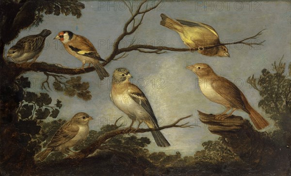 Birds in the branches of a tree, oil on oak wood, 30.5 x 49 cm, not specified, Jan van Kessel d. Ä., Antwerpen 1626–1679 Antwerpen