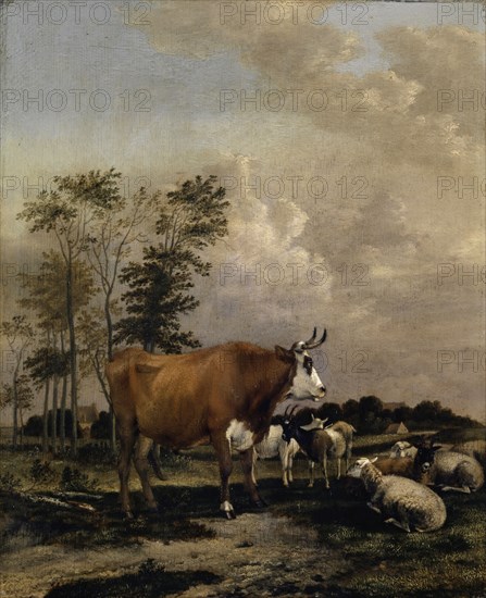 Pasture with brown bull, 1663, oil on oak, 42.5 x 34.5 cm, signed and dated lower left: A. Klomp f., 1663, Albert Jansz. Klomp, Amsterdam um 1618–1688 Amsterdam