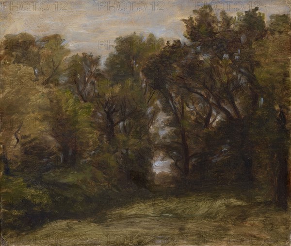 Forest edge with view, oil on board, 26 x 30.5 cm, not marked, Barthélemy Menn, Genf 1815–1893 Genf