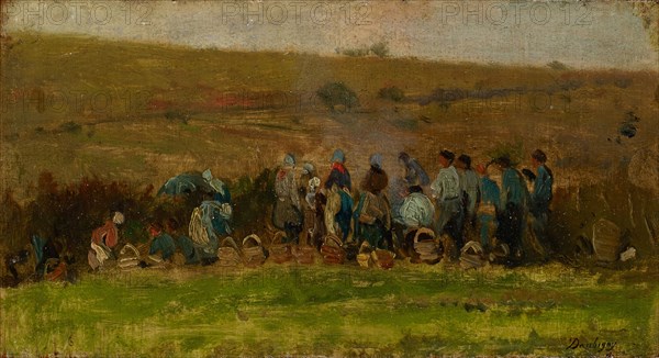 Farmers at the potato harvest, oil on oak, 12.5 x 23.3 cm, signed lower right: Daubigny, Charles-François Daubigny, Paris 1817–1878 Paris