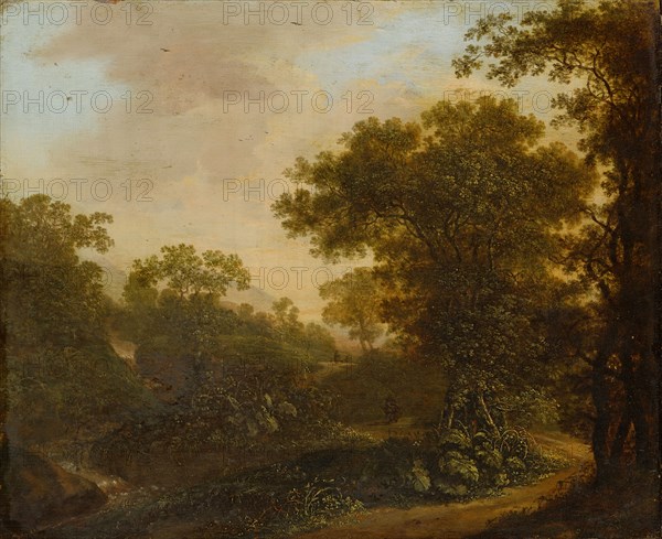 Landscape with forest road, oil on oak wood, 44 x 54 cm, Signed and dated in the lower right corner: O., M., hackius fe 16 ..., Ottomar Hackius, gest. 1670 Den Haag