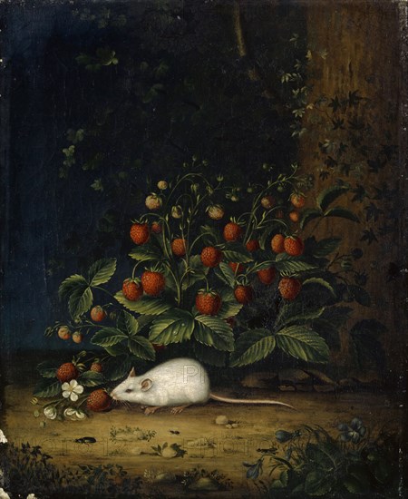 Strawberries with Mouse, 19th C.?, Oil on canvas, 27.5 x 22.5 cm, unspecified, Maria Sibylla Merian, (Nachahmer / imitator), Frankfurt a. M. 1647–1717 Amsterdam