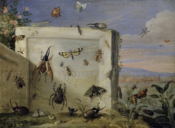 Insects on a stone slab, oil on copper, 17.5 x 23.5 cm, unsigned, Jan van Kessel d. Ä., Antwerpen 1626–1679 Antwerpen