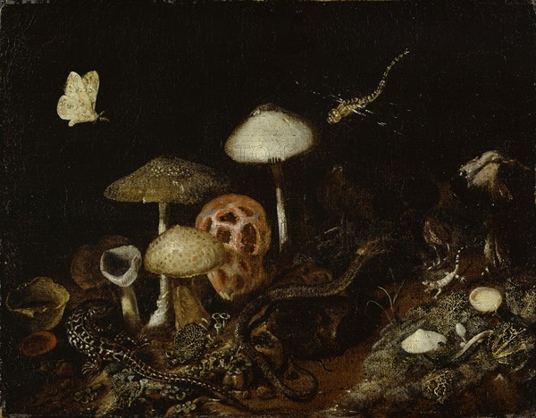 Reptiles, mushrooms and butterflies, oil on canvas, 32.5 x 41.5 cm, unsigned, Otto Marseus van Schrieck, Nijmegen 1619/20 (?)–1678 Amsterdam