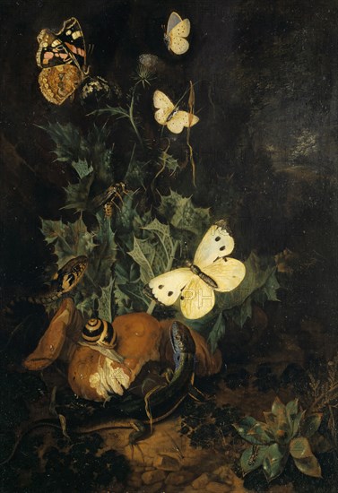 Still life with butterflies, lizard and snake, oil on oakwood, 29.5 x 21 cm, monogrammed on the right edge of the picture below the center of the picture with red color: C [slightly readable] W V H., Carl Wilhelm de Hamilton, Brüssel oder Wien 1668 oder 1670–1754 Augsburg