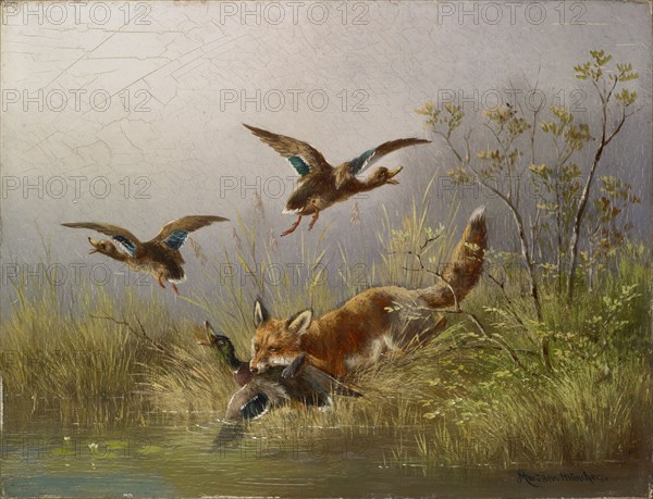 Fox on the Duck Hunt, oil on panel, 21 x 26.5 cm, signed and inscribed lower right: MMüller., Munich., Moritz Müller, München 1841–1899 München
