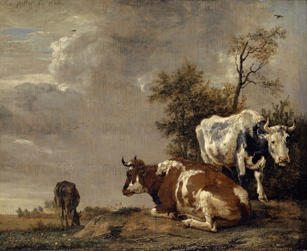 Three cattle in the pasture, 1646, oil on oak, 25.2 x 31.3 cm, Signed and dated top left: Paulus Potter f 1646, Paulus Potter, Enkhuizen 1625–1654 Amsterdam