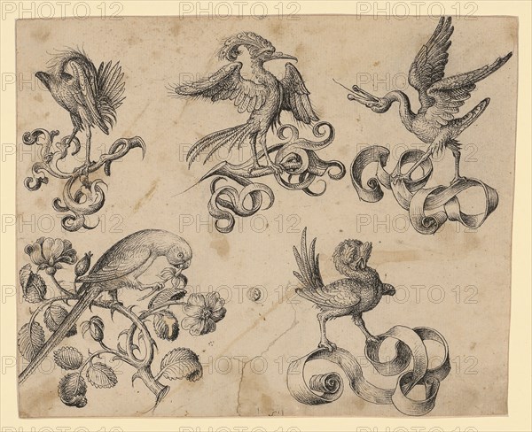 Ornamental Designs with Birds on Tendrils and Ribbons, c. 1470/80, Feather in Black, Journal: 21.6, 26.4 x 27.2 cm, Not referenced, Anonym, Oberrhein (Elsass), um 1470/80