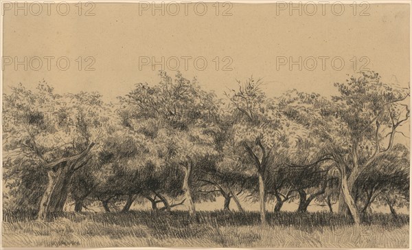 Verger Normand (Orchard in Normandy), c. 1867/75, black chalk, sheet: 19.4 x 32.6 cm, unsigned, Charles-François Daubigny, Paris 1817–1878 Paris