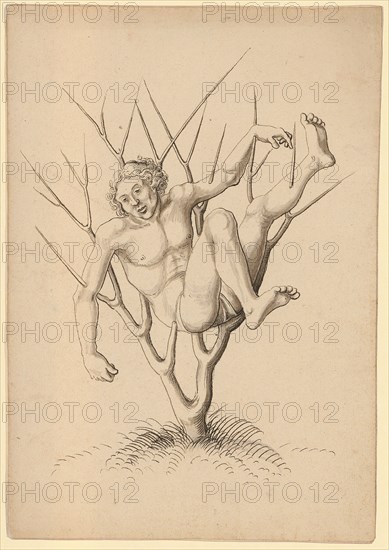 Martyr, impaled in thorn bush, feather in black, gray wash, sheet: 21.8 x 15.1 cm, not marked, Jörg Schweiger, (zugeschrieben / attributed to), Augsburg 1470/80 –1533/34 Basel