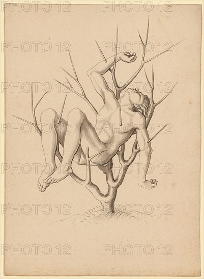Martyr, impaled in thorn bush, feather in black, gray wash, sheet: 21.5 x 15.4 cm, unsigned, Jörg Schweiger, (zugeschrieben / attributed to), Augsburg 1470/80 –1533/34 Basel