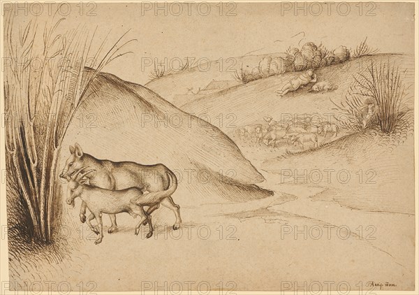 Illustration of a fable: The wolf and the goat, feather in brown, mounted, sheet: 19.6 x 27.7 cm, Unmarked, Ludwig Schongauer, Colmar um 1440–1493/1494 Colmar
