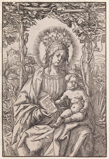 Maria with child in the vine arbor, c. 1507/09, woodcut, second condition, sheet: 22.4 x 15.2 cm, R. monogrammed on banner: H.B, inscribed in the center on the breasts of the garment of Mary: AVE REGINA CELOR [UM], Hans Burgkmair d. Ä., Augsburg 1473–1531 Augsburg
