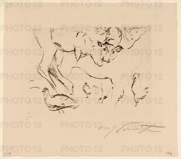 Animal sketches (cows, chickens), drypoint, sheet: 20.3 x 23 cm |, Plate: about 12 x 16 cm, R. under the illustration signed in pencil: Lovis Corinth, Lovis Corinth, Tapiau/Ostpreussen (heute Gwardjesk, Russland) 1858–1925 Zandvoort