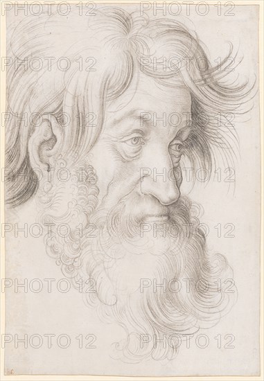 Head of a Bearded Man, to the right, Black Chalk, Leaf: 31.6 x 21.9 cm, Not referenced, Hans Baldung gen. Grien, (Werkstatt / workshop), Schwäbisch Gmünd (?) 1484/85–1545 Strassburg