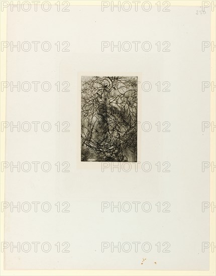 Branchages, o. D., etching, I, II (according to cat.-no. Paris 2000, no. 110), page: 32.6 x 25.3 cm |, Plate: 17.3 x 12.3 cm |, Picture: 10.6 x 7 cm, in the plate u.l., monogrammed: RB, a little further., Signed with drypoint, but illegible by hatchings: R. Bresdin, Rodolphe Bresdin, Le Fresne b. Montrelais 1822–1885 Sèvres