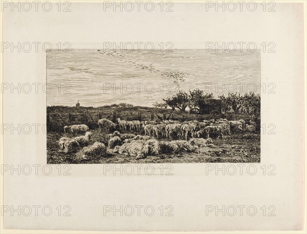 Le grand parc a moutons, le matin, (1860/62), etching, III, IV, sheet: 36.2 x 48 cm |, Plate: 21.9 x 38 cm |, Picture: 18.4 x 34.3 cm, Charles-François Daubigny, Paris 1817–1878 Paris