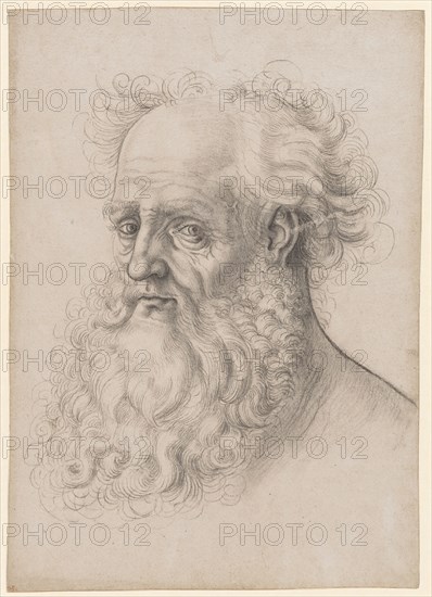 Head of a bearded man, left, black chalk, partially wiped, sheet: 31.4 x 22.4 cm, unsigned, Hans Baldung gen. Grien, (Werkstatt / workshop), Schwäbisch Gmünd (?) 1484/85–1545 Strassburg