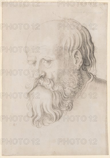 Head of a bearded man, left, black chalk, partially wiped, sheet: 31.8 x 22.2 cm, unsigned, Hans Baldung gen. Grien, (Werkstatt / workshop), Schwäbisch Gmünd (?) 1484/85–1545 Strassburg