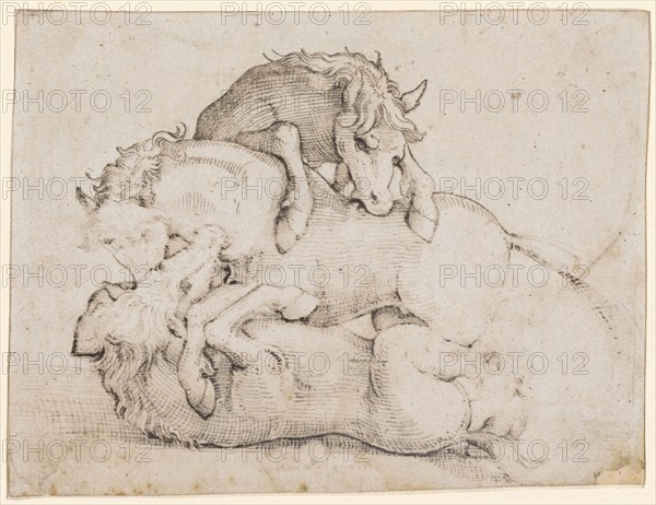 Three Fighting Wild Horses, Feather in Black, Copyspace, Sheet: 13.4 x 17.5 cm, Unsigned, Hans Baldung gen. Grien, Schwäbisch Gmünd (?) 1484/85–1545 Strassburg