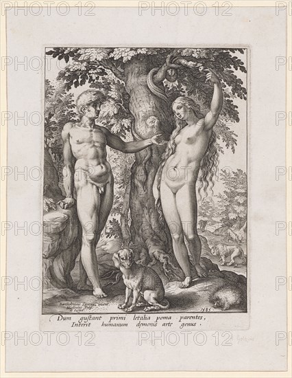 Fall of Man, 1585, copperplate, plate: 21.5 x 15.7 cm |, Leaf: 27.1 x 20.9 cm, U. l., inscribed: Bartholomeus sprang, inuent, HGoltzius [HG lig.] sculp., et excu ., u, ., r., dated: 1585, under the image field: Dum gustant primi letalia poma parentes, Interit humanum d [a] emonis arte genus., Hendrick Goltzius, Stecher, Verleger, Mühlbrecht 1558–1617 Haarlem, Bartholomäus Spranger, Inventor, Antwerpen 1546–1611 Prag