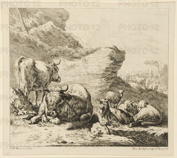 Bull and cow with goat and sheep, 1724-1728, etching, sheet: 27.8 x 31.2 cm |, Plate: 25.9 x 31.7 cm, in the plate u., l, ., designated: I.H., Roos inv. Et del ., u, ., r., Elias Ridinger sculpsit Aqua forti, Johann Elias Ridinger, Radierer, Ulm 1698–1767 Augsburg, Johann Heinrich Roos, Zeichner, Otterberg 1631–1685 Frankfurt a. M.