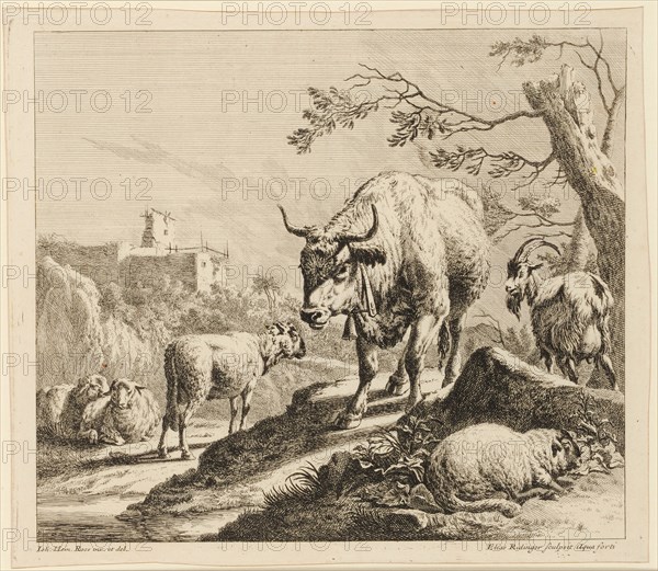 The Bull with the bell, 1724-1728, etching, sheet: 27.5 x 31 cm |, Plate: 26.8 x 31.3 cm, in the plate u., l, ., designated: I.H., Roos inv. Et del ., u, ., r .: Elias Ridinger sculpsit Aqua forti, Johann Elias Ridinger, Radierer, Ulm 1698–1767 Augsburg, Johann Heinrich Roos, Zeichner, Otterberg 1631–1685 Frankfurt a. M.