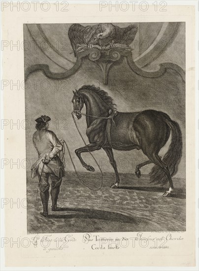Trotting on the Corda left, 1734, etching, sheet: 60 x 43.5 cm |, Plate: 54.8 x 39.3 cm, U.l., below the illustration: avec P.S.C.M ., et al .: J. E. Ridinger inv. des. et excud., Aug. Vind., Johann Elias Ridinger, Ulm 1698–1767 Augsburg