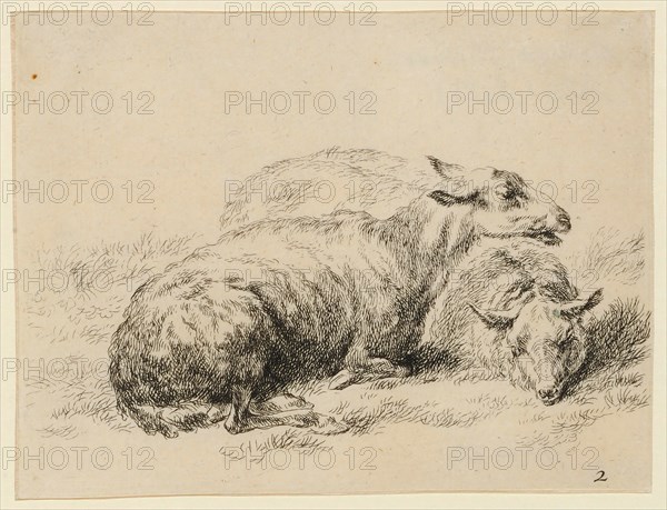 Two lying sheep, etching, sheet: 10.3 x 13 cm, in the plate u., r., numbered: 2, Nicolaes (Claes Pietersz.) Berchem, Haarlem 1620–1683 Amsterdam
