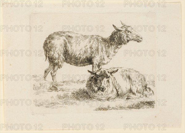 Standing and lying sheep, etching, sheet: 12.9 x 18.2 cm |, Plate: 10.3 x 13 cm, Not marked, Nicolaes (Claes Pietersz.) Berchem, Haarlem 1620–1683 Amsterdam