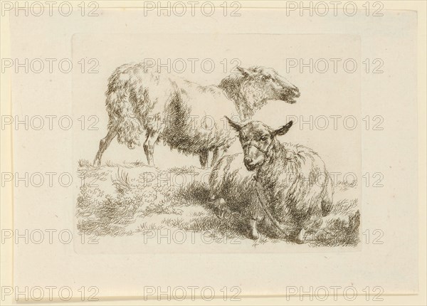 Standing and lying sheep, etching, sheet: 12.8 x 18.2 cm |, Plate: 9.9 x 13 cm, Not specified, Nicolaes (Claes Pietersz.) Berchem, Haarlem 1620–1683 Amsterdam