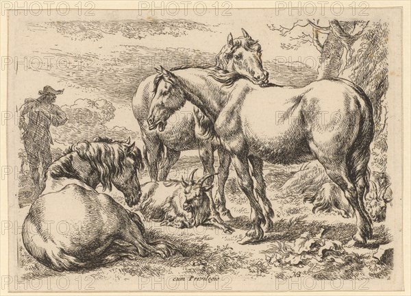 Three horses, 1679-1680, etching, sheet: 12.8 x 17.8 cm |, Plate: 12 x 17.1 cm, not marked, Nicolaes (Claes Pietersz.) Berchem, Haarlem 1620–1683 Amsterdam