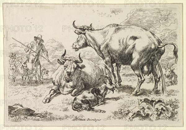 A Lying and a Pissing Cow, 1679-1680, etching, sheet: 12.2 x 17.8 cm |, Plate: 11.5 x 17.2 cm, Not specified, Nicolaes (Claes Pietersz.) Berchem, Haarlem 1620–1683 Amsterdam