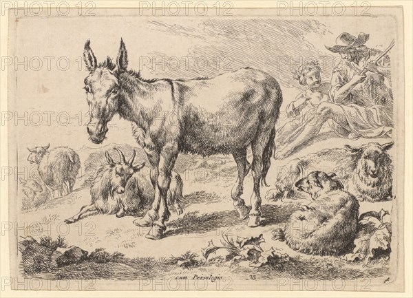 Donkey, 1679-1680, etching, sheet: 12.8 x 17.7 cm |, Plate: 12.1 x 17.2 cm, M. u., inscribed in the plate: cum Privilegio, monogrammed next to it: NB ., and numbered: 4, Nicolaes (Claes Pietersz.) Berchem, Haarlem 1620–1683 Amsterdam