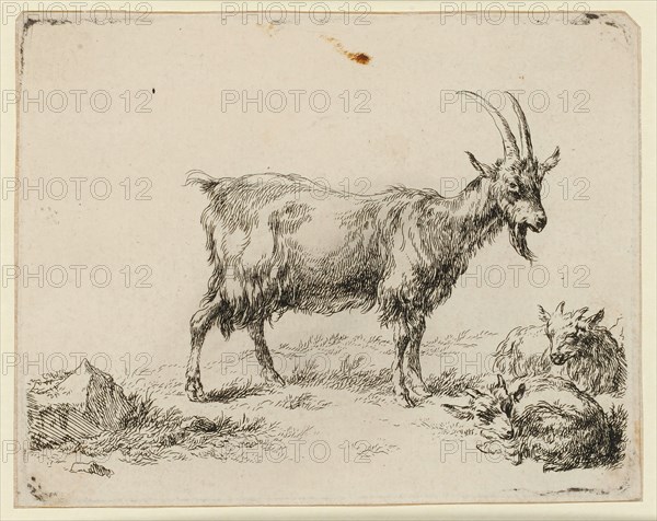 Two boys goat, etching, sheet: 10.4 x 13.2 cm |, Plate: 10.1 x 12.9 cm, Not specified, Nicolaes (Claes Pietersz.) Berchem, Haarlem 1620–1683 Amsterdam