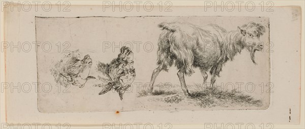 Study sheet with standing goat on the left and a donkey and sheep's head on the right (standing upside down), etching, sheet: 8.2 x 20.6 cm |, Plate: 6.6 x 16.8 cm, Not marked, Nicolaes (Claes Pietersz.) Berchem, (?), Haarlem 1620–1683 Amsterdam