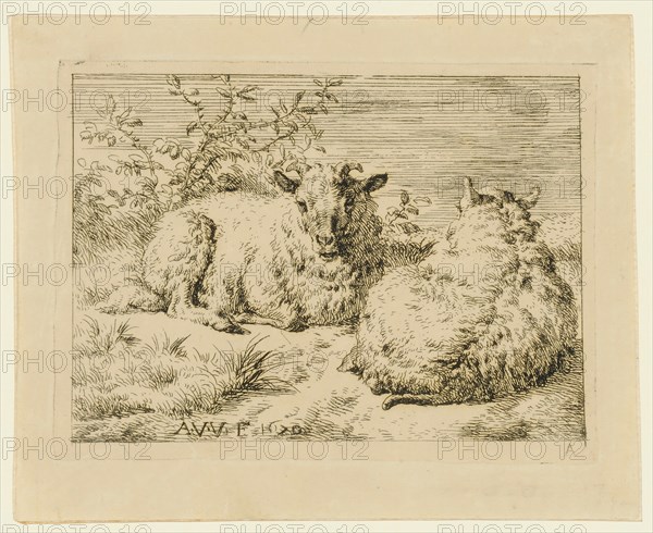 Two lying sheep, etching, sheet: 9.1 x 11.3 cm |, Plate: 7.3 x 9.9 cm, in the plate l., M. and., designated: A.V.V.E 1670, Nicolaes (Claes Pietersz.) Berchem, (?), Haarlem 1620–1683 Amsterdam