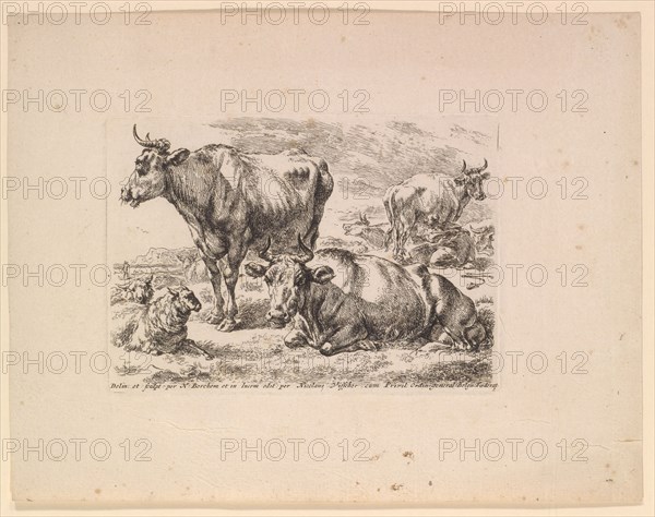 Cows in the pasture, 1679-1680, etching, sheet: 21.2 x 27.3 cm |, Plate: 11.9 x 16.9 cm, in the plate u., inscribed: Delin: et: sculpt: by N: Berchem et in lucem edit: by Nicolaus Visscher cum Pivil: Ordin: general: Belgu: Foederat 1, Nicolaes (Claes Pietersz.) Berchem, Haarlem 1620–1683 Amsterdam
