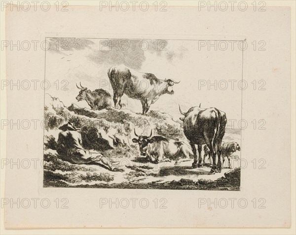 Shepherd sleeping among cows, etching, plate: 15.6 x 19.7 cm |, Leaf: 21.2 x 15.6 cm, in the plate o. R., numbered: 4, Nicolaes (Claes Pietersz.) Berchem, Haarlem 1620–1683 Amsterdam