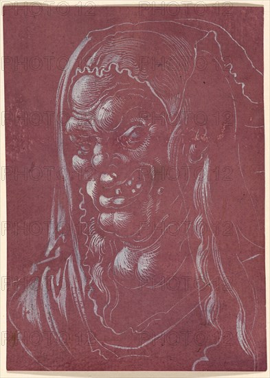 Head of an ugly old woman (witch), 1st half of the 16th century, brush in white, on violet-red tinted paper, sheet: 13.1 x 9.3 cm, unmarked, Anonym, Deutschland, 1. Hälfte 16. Jh.