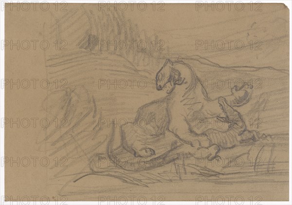 Wild Animal and Crocodile, 1866/69, pencil on brown paper, sheet: 12.5 x 17.9 cm, unmarked, Paul Cézanne, Aix-en-Provence 1839–1906 Aix-en-Provence