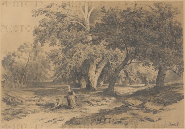Landscape, Pencil, Rectangle border, Sheet: 32.6 x 44 cm, U. r., Signed in pencil: A. Calame, Alexandre Calame, Vevey 1810–1864 Menton