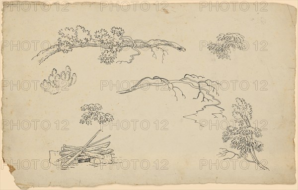 Character template: Six branch and foliage studies., Bottom left hearth with layered wood, feather, leaf: 34.8 x 22 cm, Not marked, Johann Rudolf Follenweider, Basel 1774–1847 Basel
