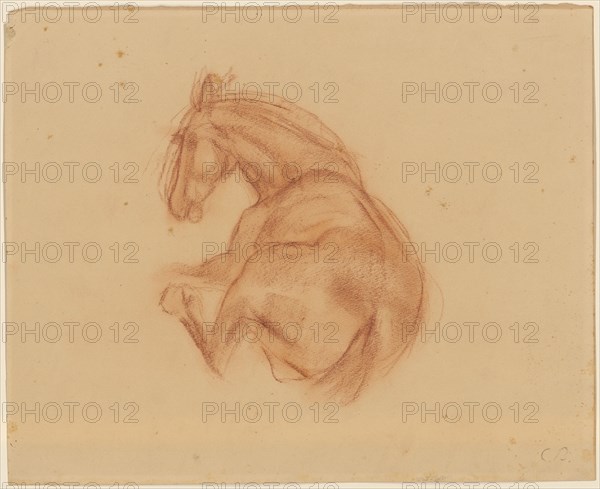 Horse lying, red chalk, leaf: 32 x 39.5 cm, U. r., Monogrammed in chalk in brown: CB, Carl Burckhardt, Lindau/Zürich 1878–1923 Ligornetto/Tessin