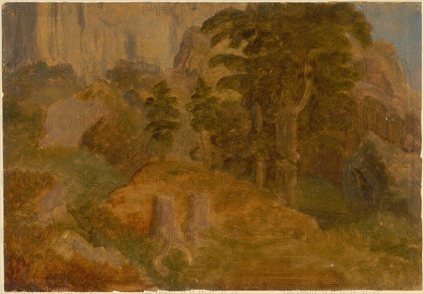 Rocky slopes and tree parts at the Rigi, oil on oiled paper, mounted on cardboard, sheet: 20.6 x 29.8 cm, not marked, Ludwig Adam Kelterborn, Hannover 1811–1878 Basel
