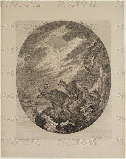 Johann Elias Ridinger, German, 1698-1769, Deer in Flight Arrested by a Lake, 18th century, engraving and etching printed on wove paper, Plate: 13 5/8 × 11 inches (34.6 × 27.9 cm)