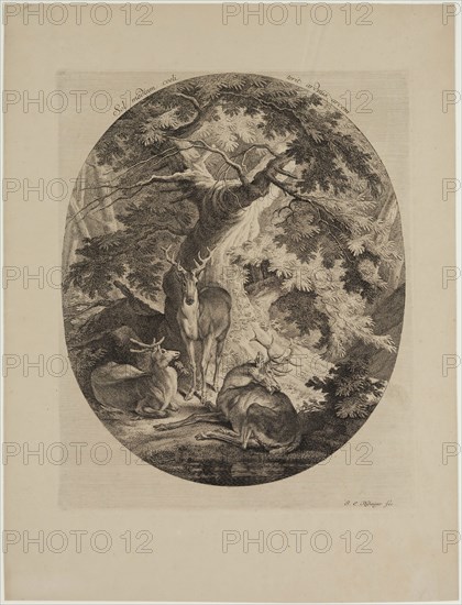 Johann Elias Ridinger, German, 1698-1769, Deer Resting at Noonday, 18th century, engraving and etching printed on wove paper, Plate: 13 5/8 × 11 inches (34.6 × 27.9 cm)