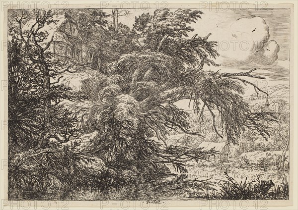 Jacob Isaaksz van Ruisdael, Dutch, 1628-1682, Cottage on the Summit of the Hill, 17th century, etching and drypoint printed in black ink on laid paper, Sheet (trimmed within plate mark): 7 5/8 × 11 inches (19.4 × 27.9 cm)